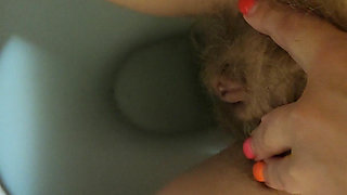 MILF Pee Close up View in the Toilet From Hairy Pussy