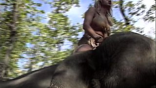 Blonde chick Bailey Bae drives a big cock in hardcore sex