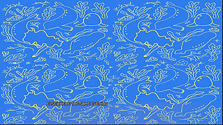 The Selkie (part 4)