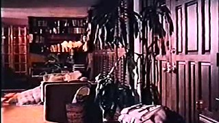 Latina Group Sex Orgy Raunchy Hardcore