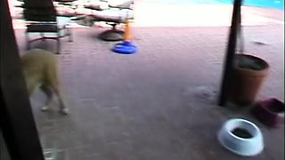 Magdalenas ride in the bathroom Anal Blonde Blowjob Cumshot