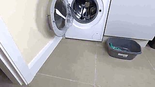 Stuck in the Washing Machine and Had to Pee in Panties