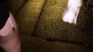 MILF Shown off Outdoors with Vibrating Sex Toys Without Panties