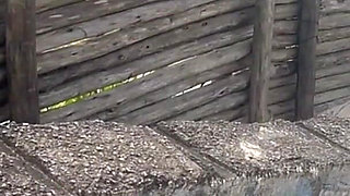 On the Beach in a Thong Bikini Showing My Big Ass