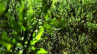 Hardcore vintage anal sex outdoors
