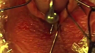 Dominatrix Mistress April Kittens Prey for Mistress