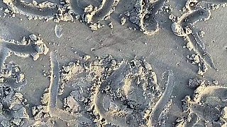 Euro amateur outdoor masturbation