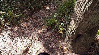 Adventure in the forest