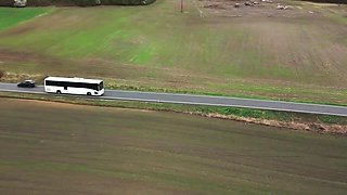 Lynna Nilsson - The Late Bird