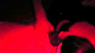 Fucked by a Herd in the Dark