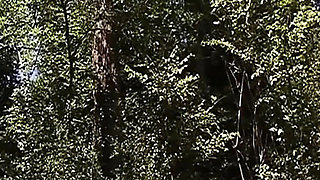 French amateur babe gets wild in outdoor anal threesome with big cock