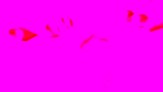 Amateur teen pov fuck session