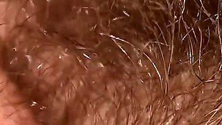 Super Thick and Long Plussy Hair Bush Closeup