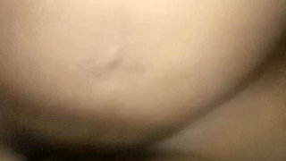 Bring on the Squirrels