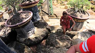 Fatty girl who loves big cocks warms up for a hardcore sex