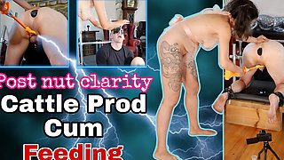 Femdom Cum Eating Instruction or Cattle Prod