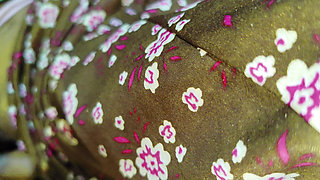 A poor girl with stepbrother