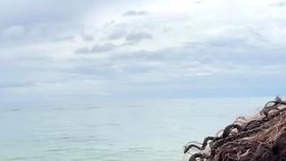 CIMA black and ebony