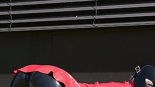 Red Latex Springtime