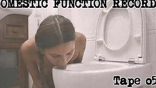 Convenient Toilet Cleaner