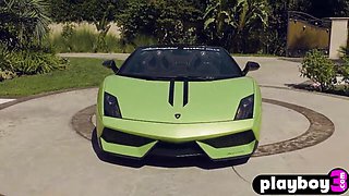 Lamborghini looks unbelievable but sight at these stunners and determine what you wantv
