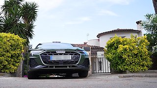 Purity Surrendered in Lieu of Superb, Public Acts