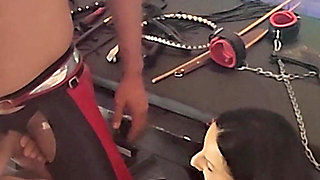 Bi Slave Blowjob Cum Eating Jerk off Cum Cleaning by Femdom Maledom