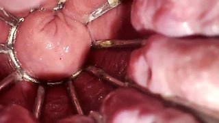 Reneenicolecd - update #28 - Degrading Gullet Pulverize #trio - Apr 12, 2026