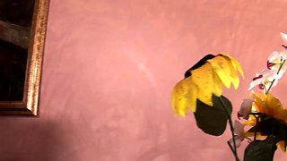 Bustys Cam Webcam Big Boobs Free Big Boobs Cam Porn Video