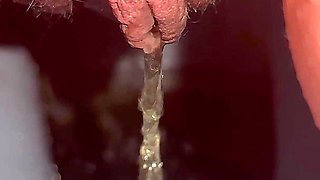 Lick Me, I Will Piss and Cum on You Toilet Slave