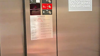 Naughty Elevator Ride Will She Get Caught?