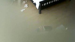 Couple amateur hidden cam my bitch