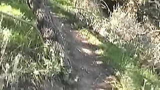 Hardcore Anal Fuck with French Babe Gets Huge Facial Cumshot