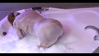 58-year-old Beautiful Mature Can't Resist Anymore and Leaves the Jacuzzi to Be Fucked