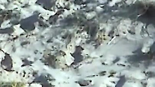 Young Lezzies Love Oil Massage on The Beach