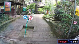 Monkey business and couple intercourse at home