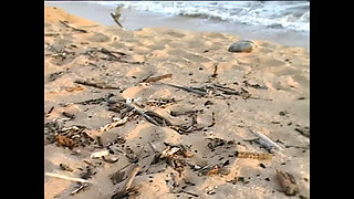 Keri Windsor: Blonde, Busty, Hard Fucked by the Sea