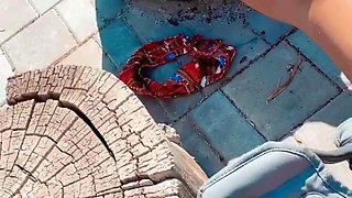 CLOSE UP OF TEENS PARADISE