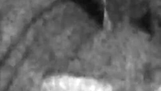 Blonde Babe Fingered and Eaten to Shaking Orgasm