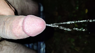 Morning Piss in the Adirondacks
