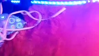 My EX Girlfriend with her new Boyfriend