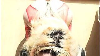 Slut sucks and tans at the same time (Watch the full video