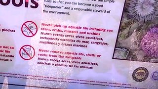 Euro public amateur outdoors fucks for some cash