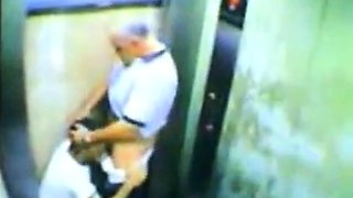 Daddy Bear and his Young Cub Caught on Camera