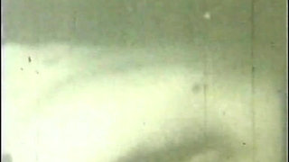 The Neighborhood Whore