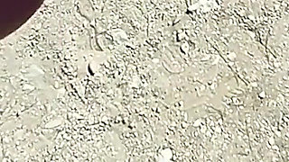 French MILF Blowjob Amateur on Nude Beach Public in Greece to Stranger with Cumshot - Misscreamy