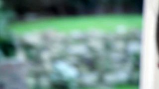 Classy cougar crazy xxx scene